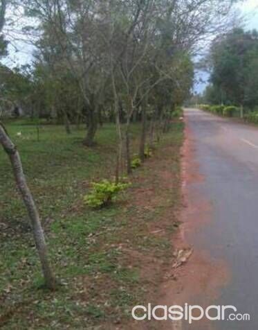 Vendo terreno de 6 hectareas en itaugua — foto 3