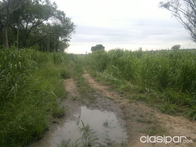 vendo estancia — foto 2