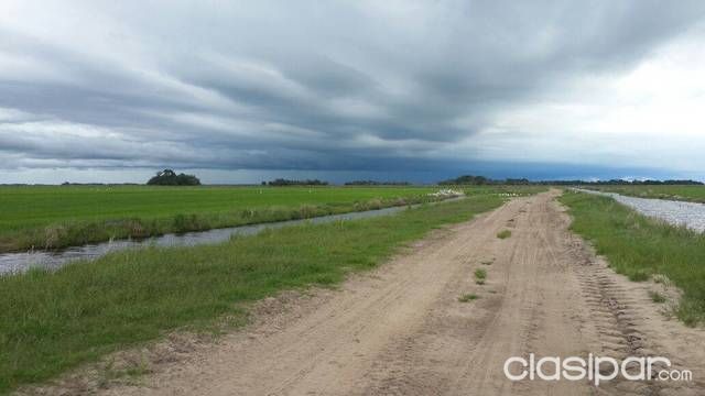 Vendo hermoso campo san ignacio misiones — foto 2