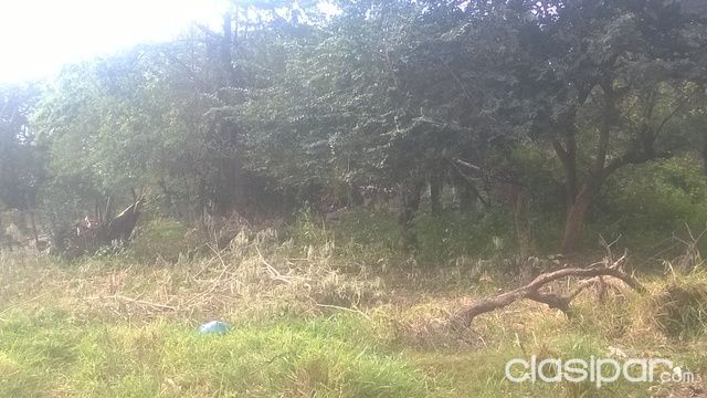 Vendo terreno 12x30 en Luque Fraccion- Ykaa — foto 2