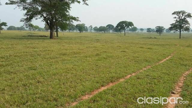 Venta de estancia — foto 2