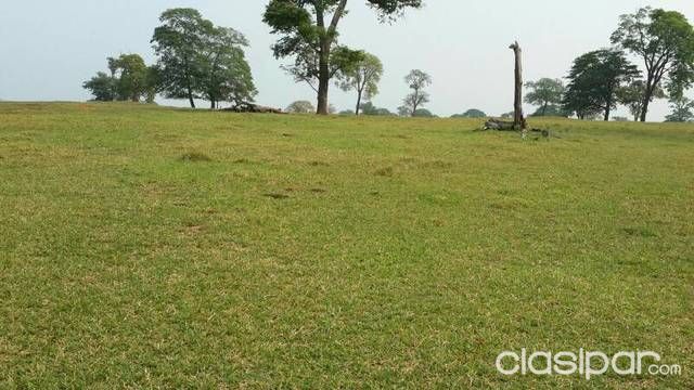 Venta de estancia — foto 3