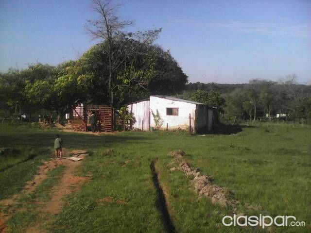 Rakiura detrás zona sugas — foto 2