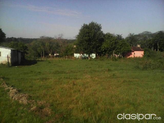 Rakiura detrás zona sugas — foto 3