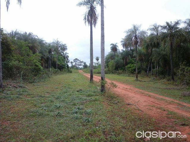 Vendo Terreno en ciudad de ITA — foto 2