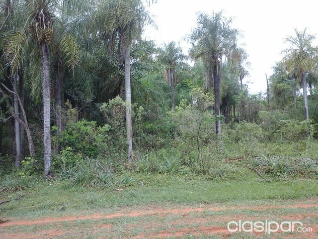 Vendo Terreno en ciudad de ITA — foto 3