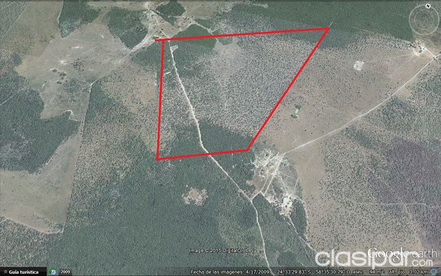 VENDO terreno de 200 hectáreas a 143 km de asunción, bajo chaco — foto 2