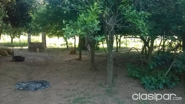 OFERTA VENDO 8 HECTARIAS EN BARRERO GRANDE A 50 METROS DEL ASFALTO. — foto 2