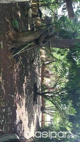 Terreno Titulado — foto 2