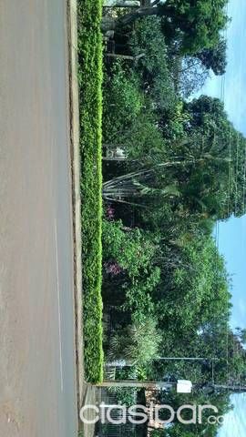 Terreno Titulado — foto 3