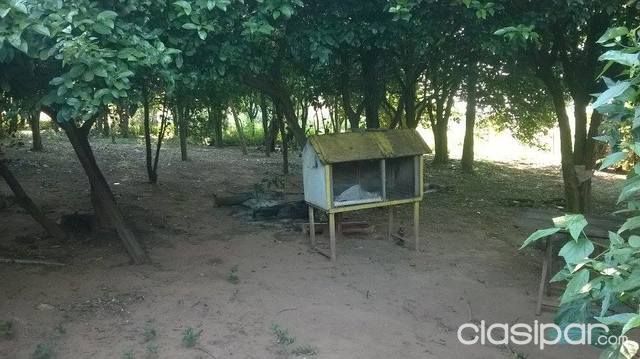 SUPER OFRTA EN BARRERO GRANDE DE 8 HECTAREAS A METROS DEL ASFALTO — foto 2