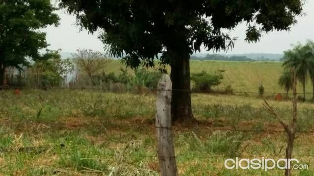 Remato terreno — foto 2