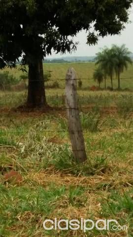 Remato terreno — foto 3