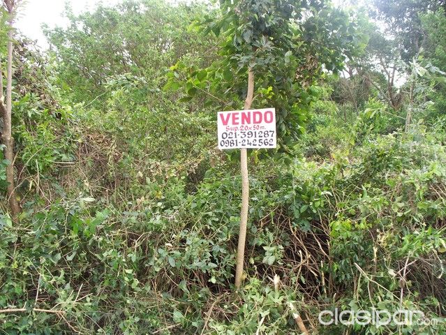 TERRENO SAN COSME Y DAMIAN 1000 m2 — foto 3