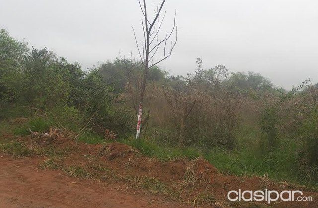 ENORME PROPIEDAD EN CAPIATA - venta por HAS — foto 2