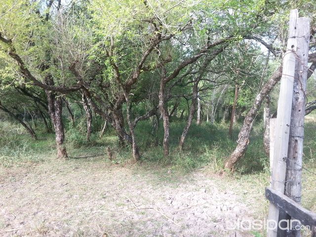 Oferta!! Vendo 5 lotes en Aregua — foto 2