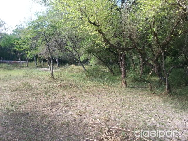 Oferta!! Vendo 5 lotes en Aregua — foto 3