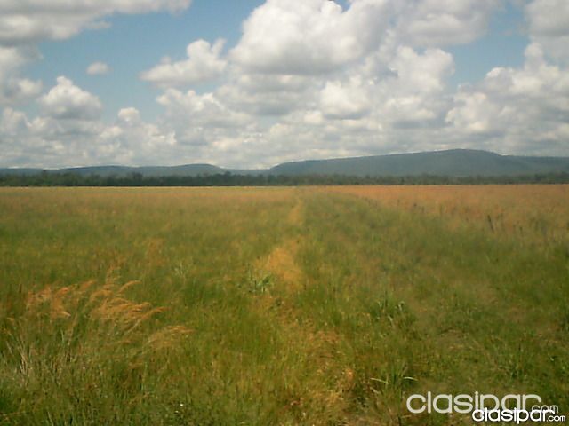 Vendo hermoso campo con arroyo y mina de puzolana — foto 2