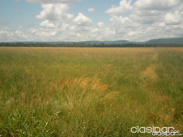 Vendo hermoso campo con arroyo y mina de puzolana — foto 3