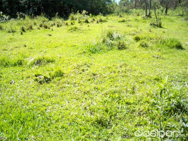 ATENCION INVERSIONISTAS!!! VENDO HECTAREAS ( 72500MTRS) CURVA S, SOBRE RUTA 7 — foto 2