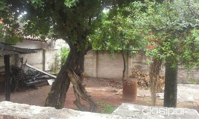 Oferta terreno en sajonia — foto 2