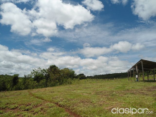 Terreno 50 hectareas en Zona Abai- Rica en Oro y otros. — foto 2