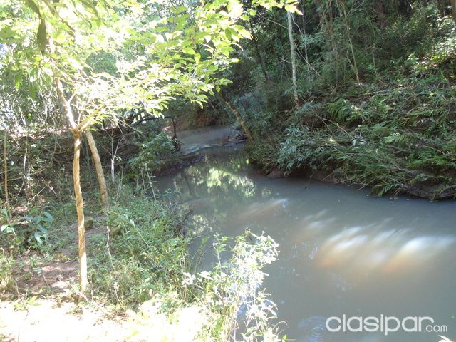 Terreno 50 hectareas en Zona Abai- Rica en Oro y otros. — foto 3
