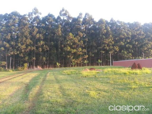 Terreno Km 16 Centro Al Costado Facultad — foto 3