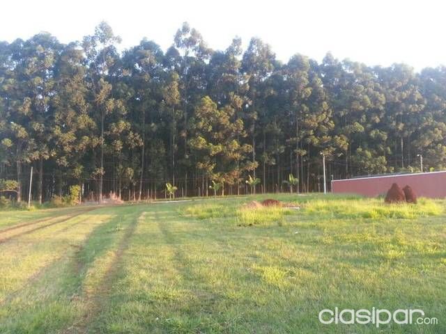 Vendo terreno en km 16 minga guazu — foto 2