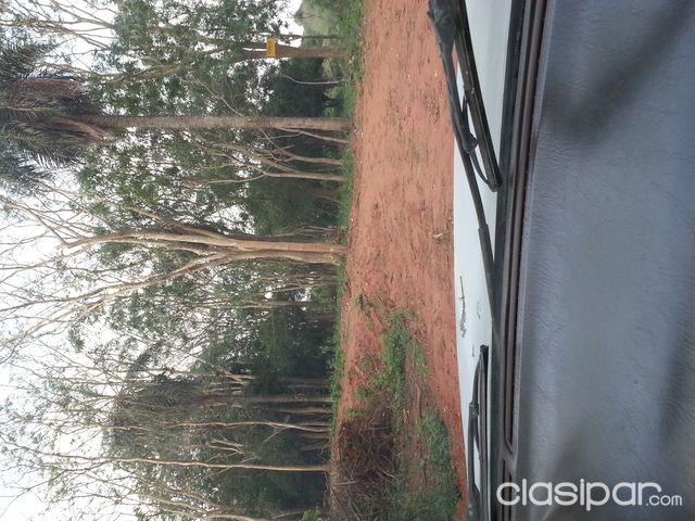 vendo terreno en villa elisa mbocayaty a 20 metros del asfalto Mandyju pekua y colonia elisa — foto 3