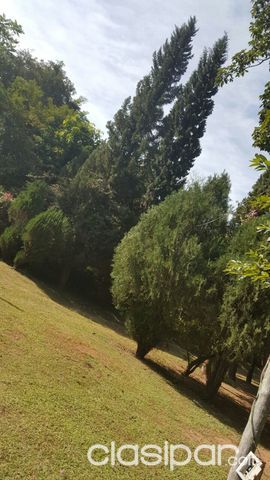 VENDO TERRENO Y CASA EN LOMA GRANDE — foto 2