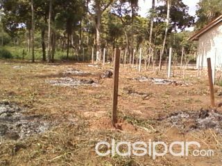 terreno vendo en aregua — foto 2