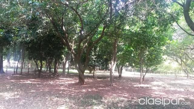 6 lotes en CAACUPE — foto 3