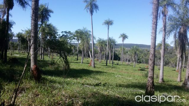 CAACUPE, KM 59 RUTA II, OFERTO 73 Has!!!! — foto 3