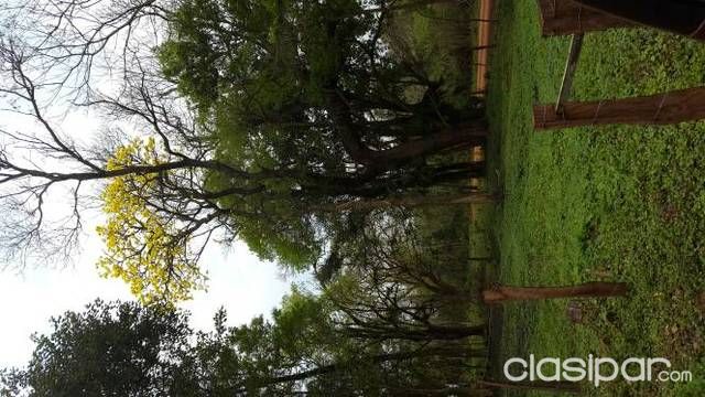 VENDO TERRENO EN LA CIUDAD ITAKURUBI — foto 2