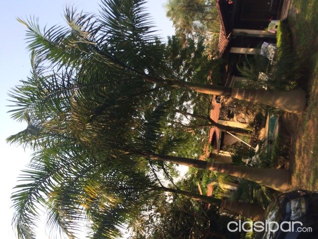 Vendo casa en San Bernardino — foto 3