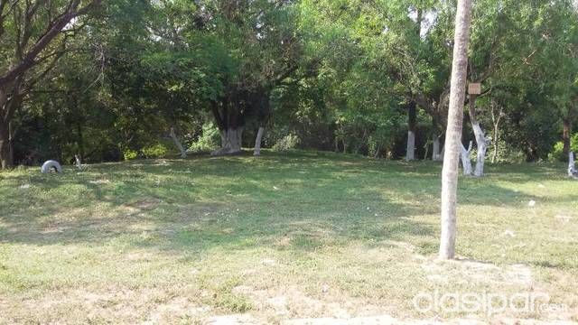 Oferta Vendo Terrenos En Ytororo Gs75.000.000. — foto 2