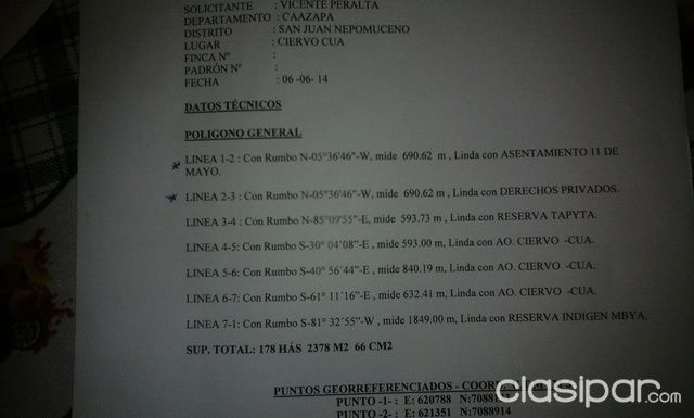 178 Hct Ciervo Cua ¨Caazapa¨ — foto 2