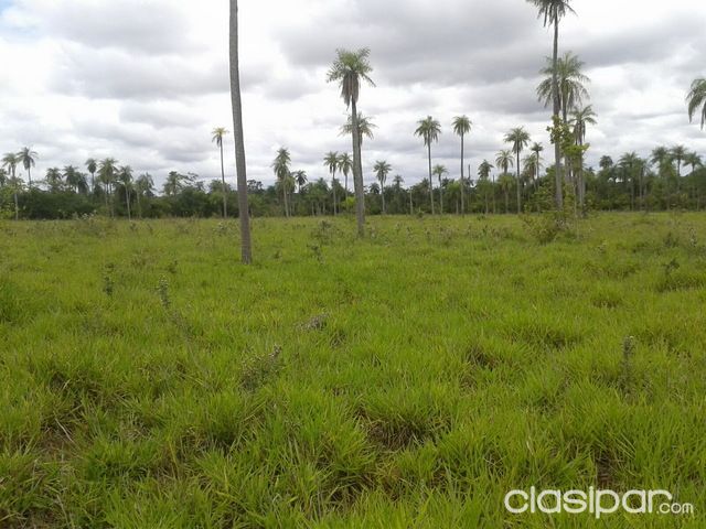 PROPIEDAD EN PIRIBEBUY — foto 2