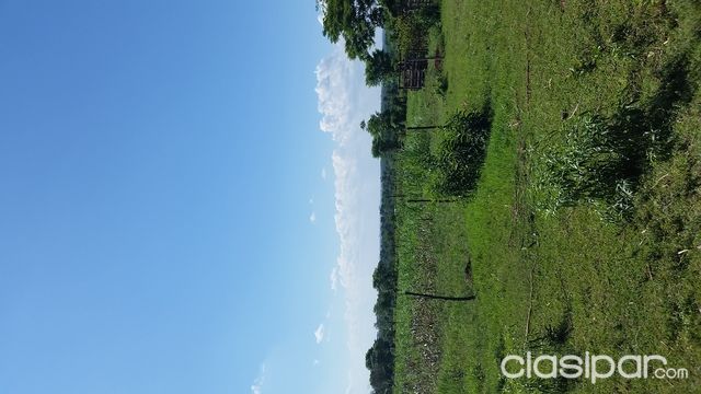 Vendo 5 hectáreas en cde titulado — foto 3