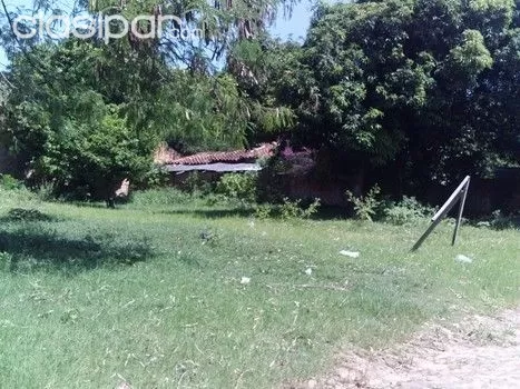 VENDO EN CENTRO DE LUQUE - Ruta Luque - San Bernardino. — foto 2