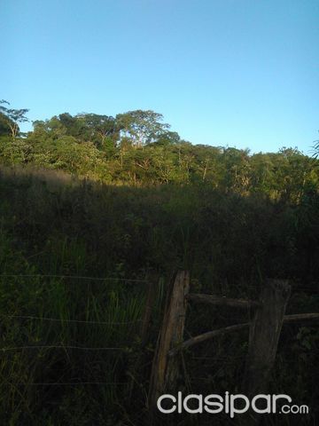 Vendo 1 hectárea tierra virgen especial para casa quinta — foto 2