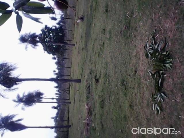 Vendo hermosa quinta para inversionistas en Itaugua — foto 3