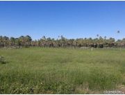 PROPIEDAD 5.500Has a 30km de la Transchaco km190.