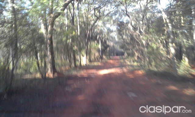 Vendo 16 hectareas en Limpio - Zona Centrica — foto 3