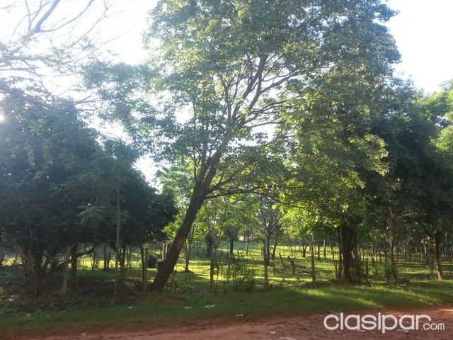 SE VENDE TERRENO EN VILLARRICA, ESPECIAL PARA INVERSIONISTAS INMOBILIARIOS. — foto 3
