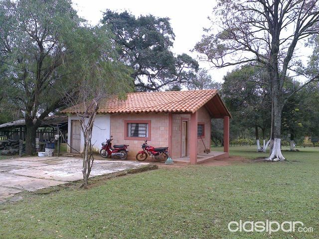 VENDO PROPIEDAD EN ITAUGUA 12.5 Ha. — foto 3