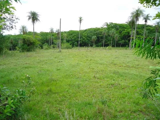 4 Has en EUSEBIO AYALA — foto 3