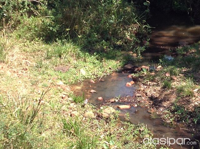 30 ha Ramal Luque-San Bernardino. 326m sobre ruta — foto 2