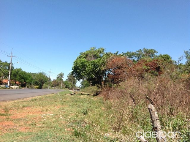 30 ha Ramal Luque-San Bernardino. 326m sobre ruta — foto 3